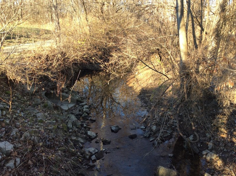 This is the creek that the trail follows.