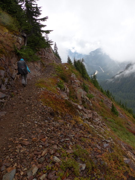 Heading back into the trees, coming down form the Kendall Katwalk.