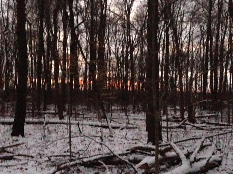 A grainy photo of the sun rising over Lake Arthur, looking southeast through the trees.