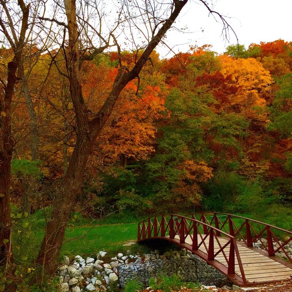 In a state with mostly flat ground and corn fields, Ledges State Park is like a little piece of Iowa heaven.