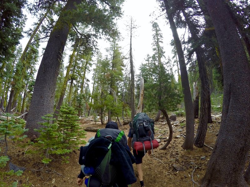 On our way on the Round Lake Trail!