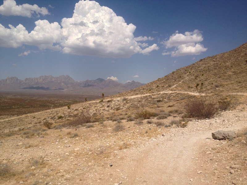 Nice views of the Organ Mountains to be had.