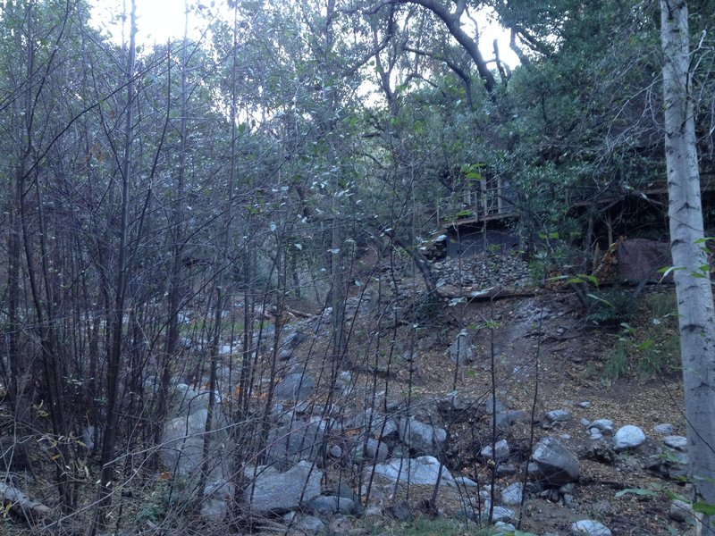 Lower Millard Creek, with a cabin in the background.