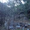 Lower Millard Creek, with a cabin in the background.