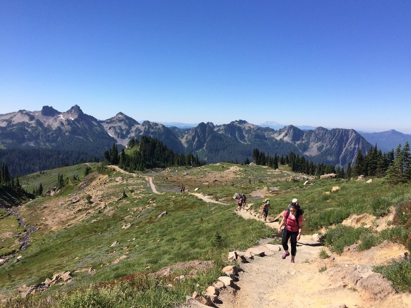 On the way up the Skyline trail in July 2015.