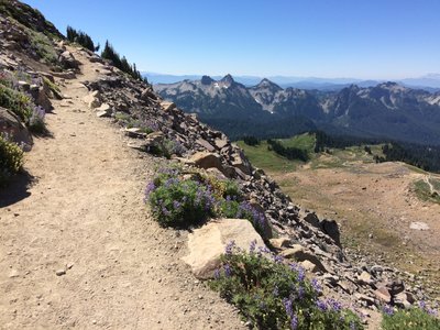 Upwards to Panorama Point on the Skyline Trail.