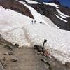 Entering the ice field on Lower Skyline.