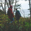 Hiking the OCT in Ecola State Park