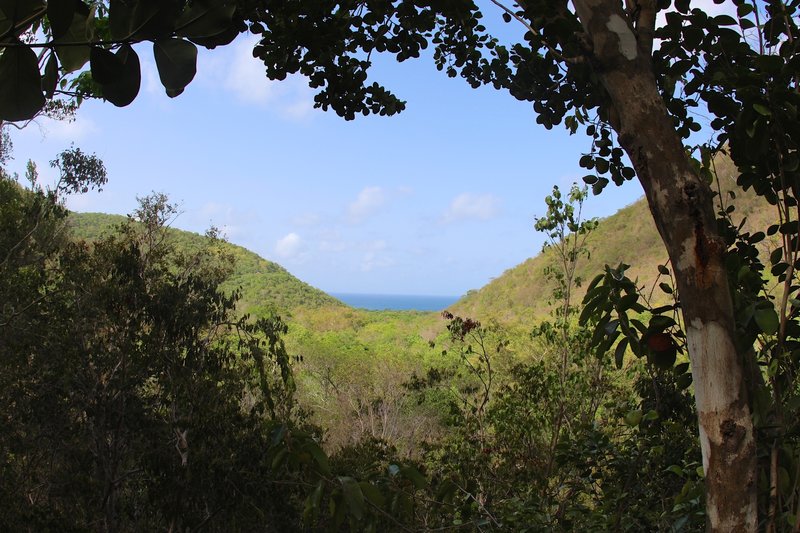 Reef Bay overlook.