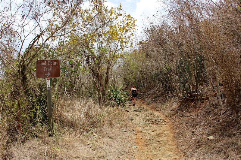 Lind Point Trailhead.