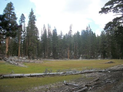 This is sometimes a meadow and sometimes a swamp.