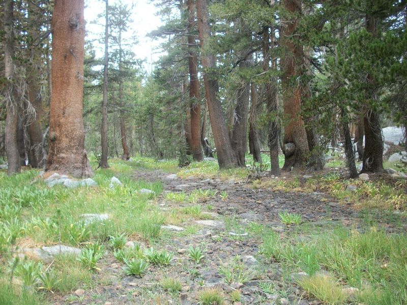 Dry creek bed "flowing" out of Upper State Lake; this is where the trail becomes easy to lose.