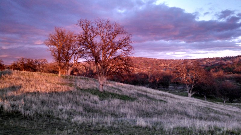 Setting winter sun looking east where the Buckridge trail loops through the hills and trees.