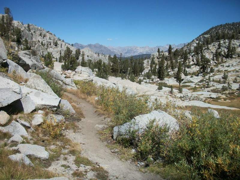 The Simpson Meadow Trail facing north toward the Middle Fork Trail from near Granite Pass.