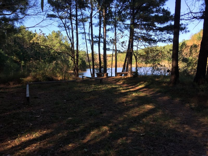 Lake/pond on Crow Branch Overlook Loop Trail