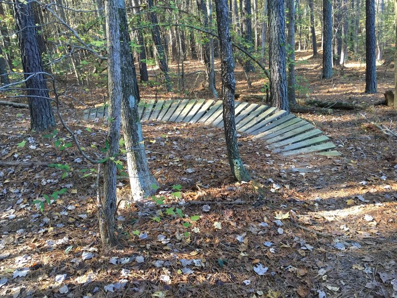 Constructed mountain bike trail berm on Crow Branch Overlook Loop Trail