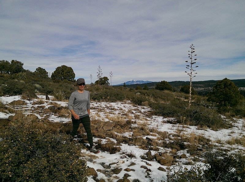 Humphries Peak in the distance from the Wilson Mountain Trail.