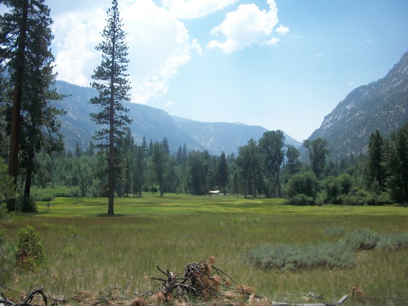 Simpson Meadow opens up off the Middle Fork Trail.