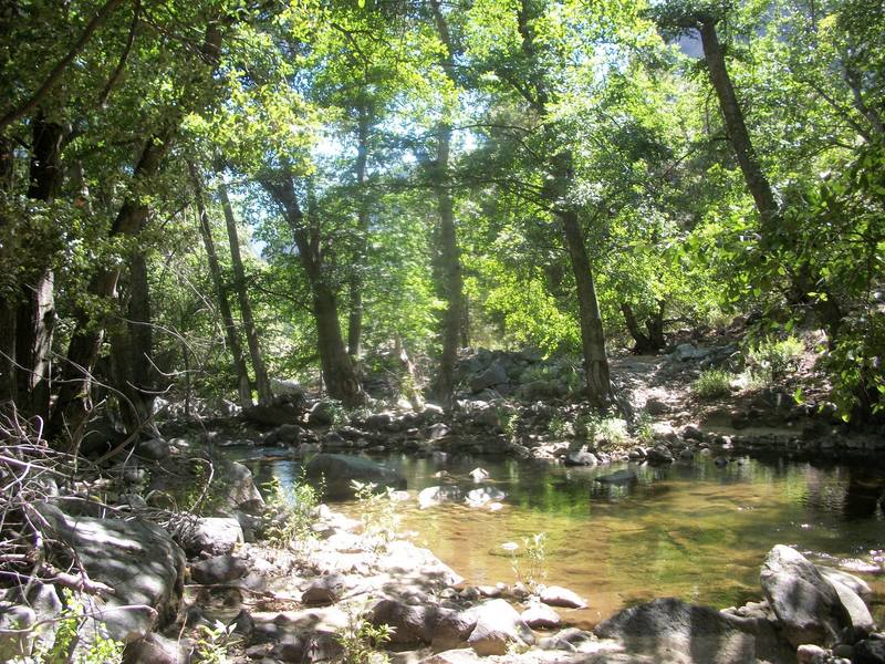 You'll cross Crown Creek on the Middle Fork Trail as you make your way through the Tehipite Valley.