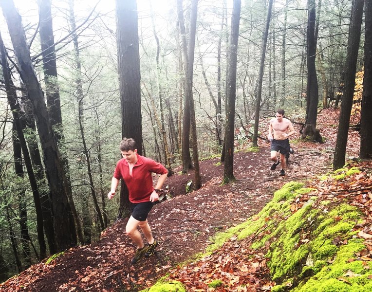 Fog and bright green moss found on the Red Trail.