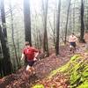 Fog and bright green moss found on the Red Trail.