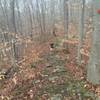 A particularly rocky ridgeline section of Red Trail.