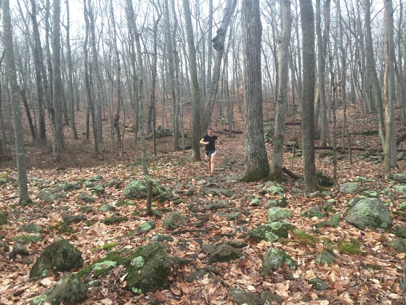 Rocks like a minefield on Red/White Trail.