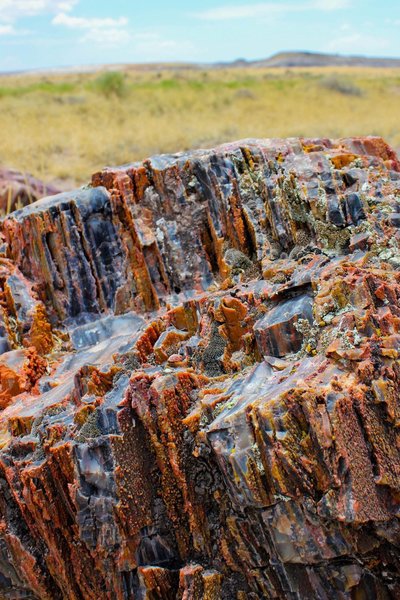 A petrified wood close-up. The petrified wood can bee seen along the Crystal Forest Trail.