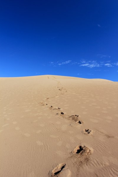 Descending from HIgh Dunes