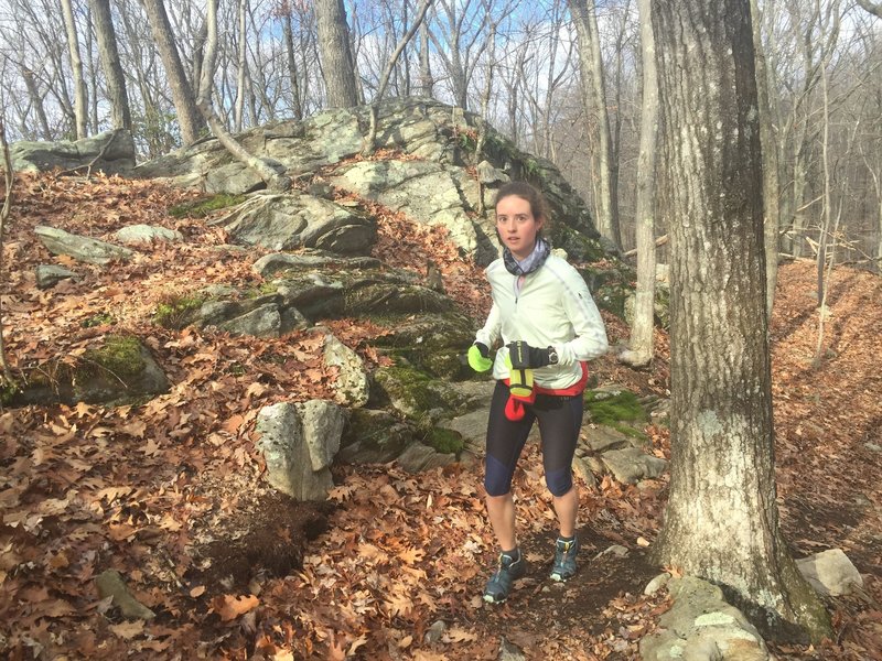 The start of Saugatuck Trail is awesome, rolling singletrack.