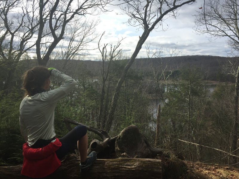 An awesome viewpoint over Saugatuck Reservoir, complete with a bench to sit on!