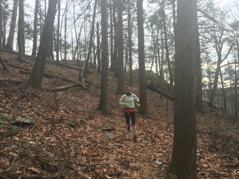 A nice downhill section on the Saugatuck Trail.