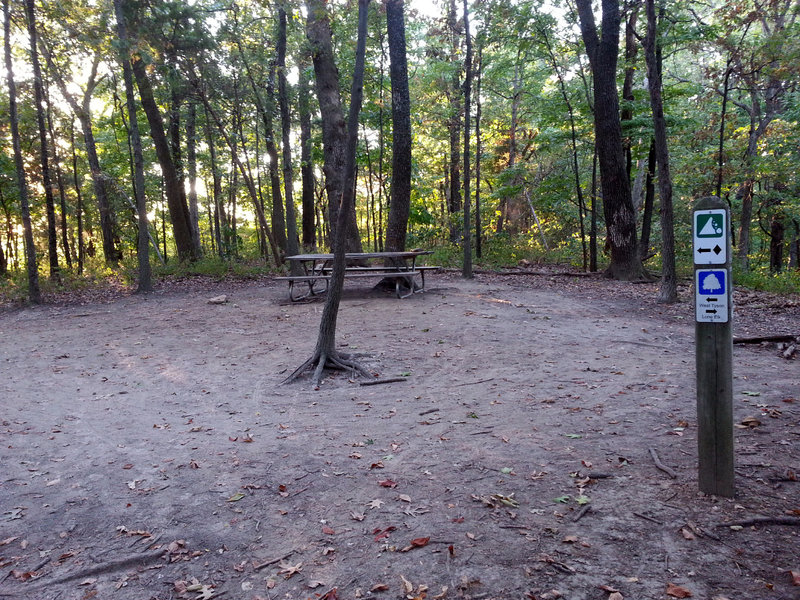 Picnic table at the Chubb and Flint Quarry Trails junction.