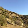 View down North Peak Trail to Devil's Elbow.