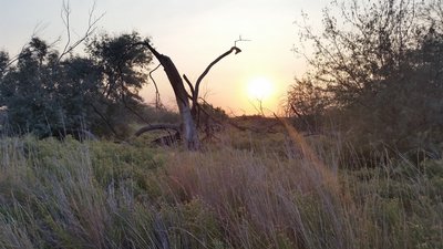 Sunrise along Bateman Island.