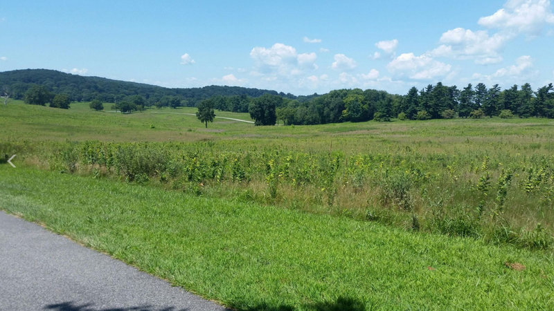 Field behind Wayne's Woods in September, Valley Forge National Historical Park.