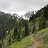 Olympic National Forest Mount Townsend Trail.