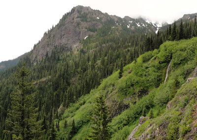 View from Olympic National Forest Mount Townsend Trail.
