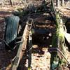 Antique Cart in Horton Grove.