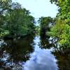 Looking over the water from the stone bridge over the East Branch Brandywine Creek.