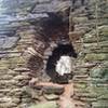 Abandoned forge in Valley Forge National Historical Park.