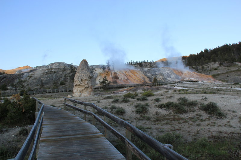 Liberty Cap and Palette Spring