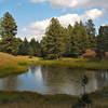 Yellowstone NP - Beaver Ponds Loop.