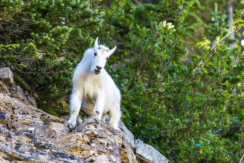 Hey there lil' buddy!