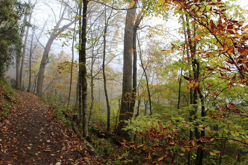 Chimney Tops Trail - through the fall foliage.