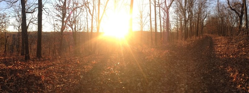 Atop the ridge on the Busiek Purple Loop. Winter in the evening.