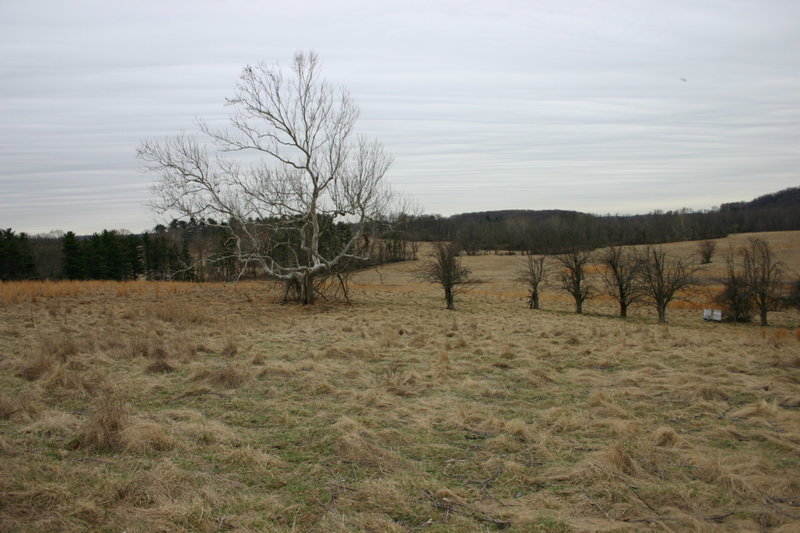 Fields of Valley Forge National Park.