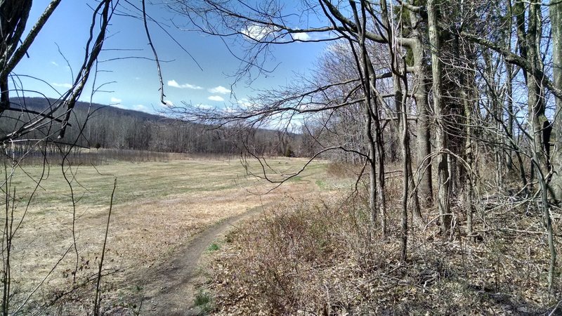 Nice singletrack at Valley Forge.