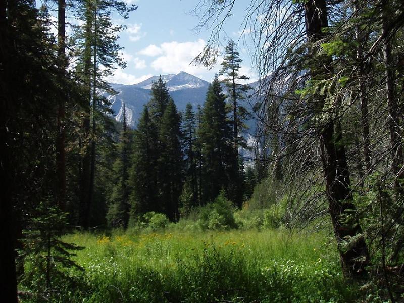 Lower Tent Meadow