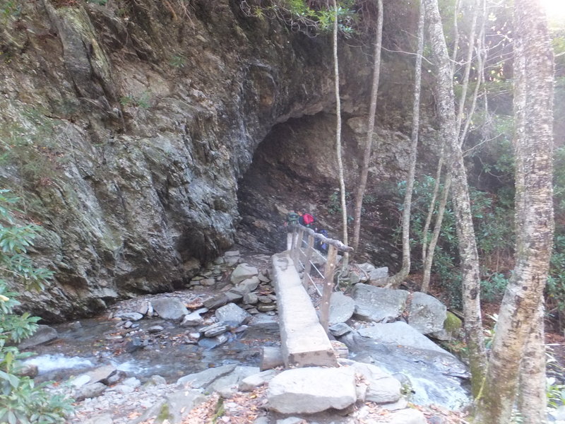 Log Bridge on Alum Cave Trail.